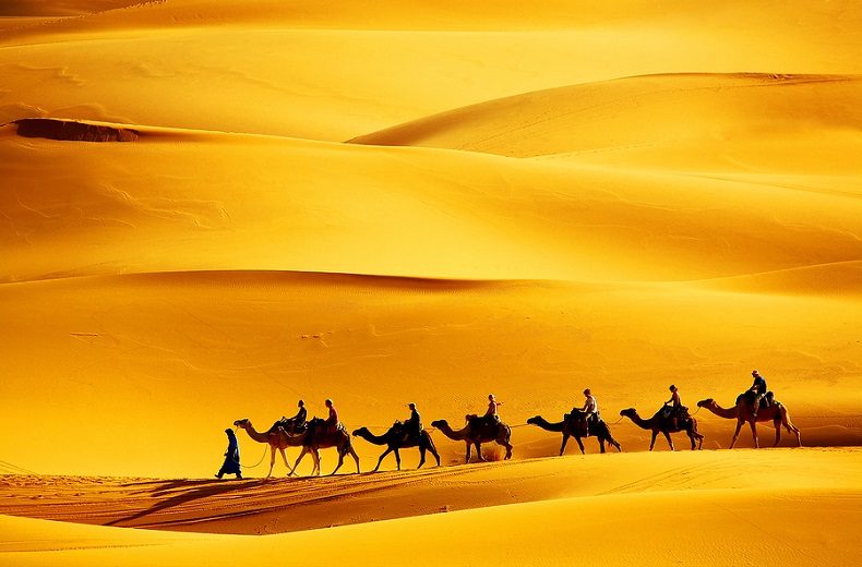 Kamelritt in der Wüste