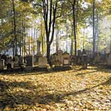 Jüdischer Friedhof

An Dresdens reiche jüdische Vergangenheit erinnert u.a. der alte jüdische Friedhof in der Dresdner Neustadt. Dieser älteste jüdische Friedhof Sachsens wurde von 1751 bis 1869 genutzt und hat die Zeiten bis heute überdauert.

Foto: DWT / Dittrich