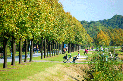 Gelsenkirchen überzeugt auch mit Parks und Grünflächen. © Joergelman  / pixabay.com