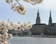 © Carmen Steiner - Fotolia.com