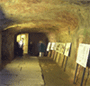 � Congress- und Tourismuszentrale N�rnberg