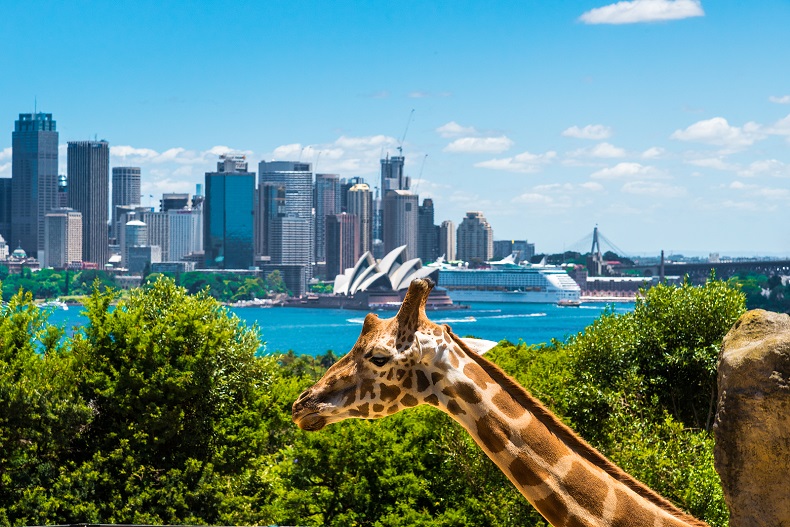 Stockfoto-ID: 112960532 Copyright: StanciuC - Big Stock Photo