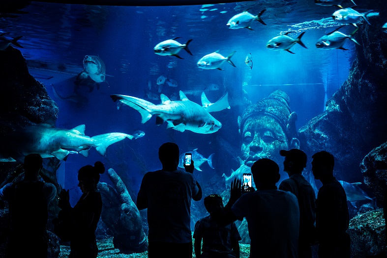 Stockfoto-ID: 282709819 Copyright: Oleg Golovnev