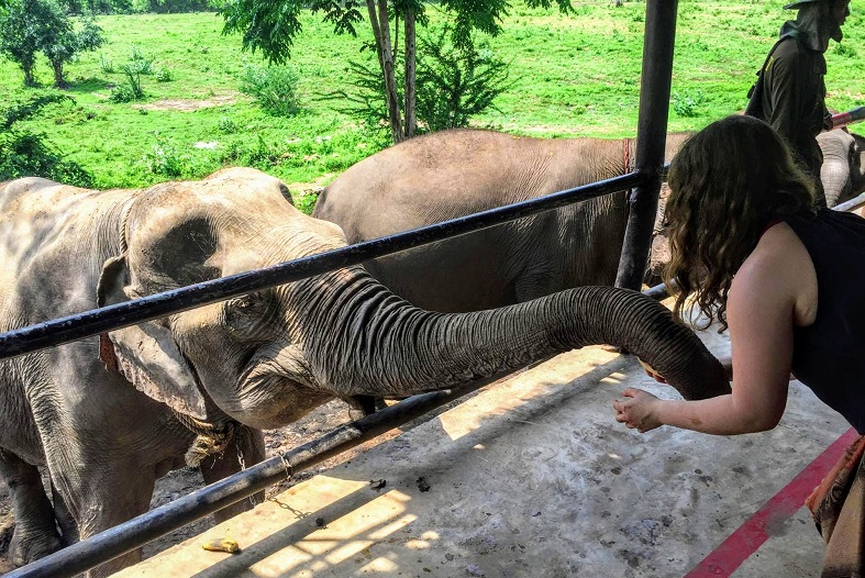 Stockfoto-ID: 278154943 Copyright: chris babcock