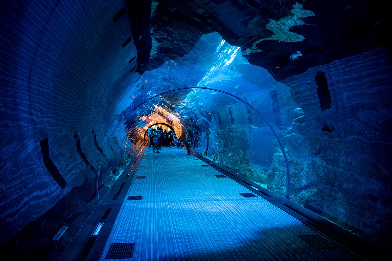 Stockfoto-ID: 317912071 Copyright: Mino - Big Stock Photo