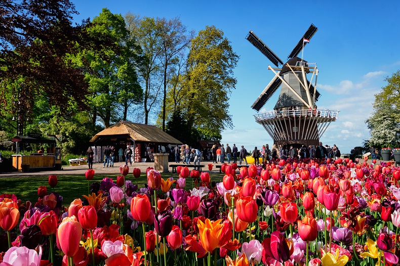 Keukenhof Park