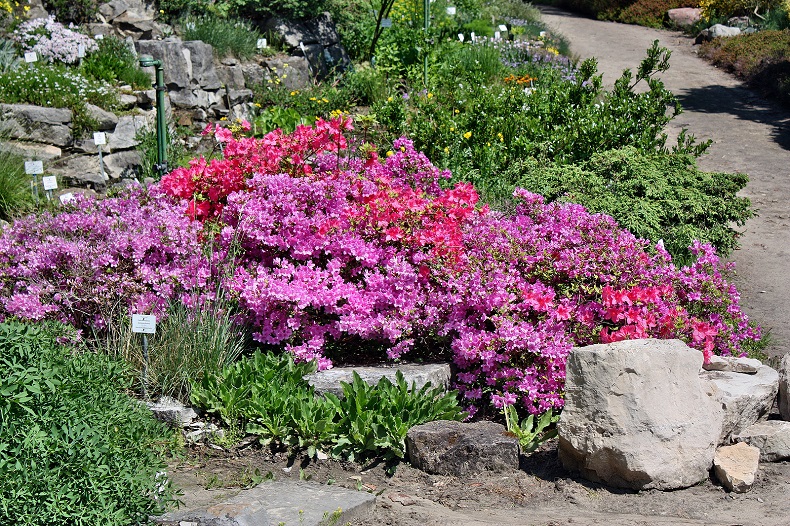 Stockfoto-ID: 86358308 Copyright: Adam88x