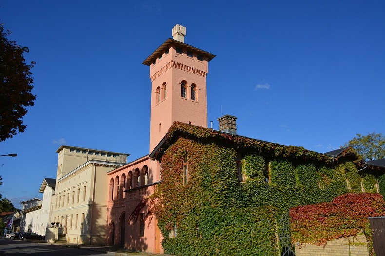 Bild von PeterBe auf Pixabay 