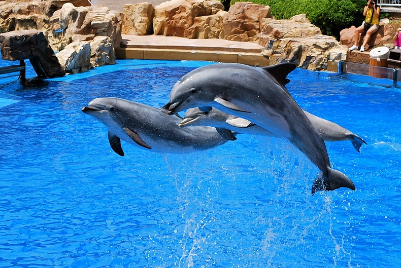 Tierpark Mundomar - Costa Blanca