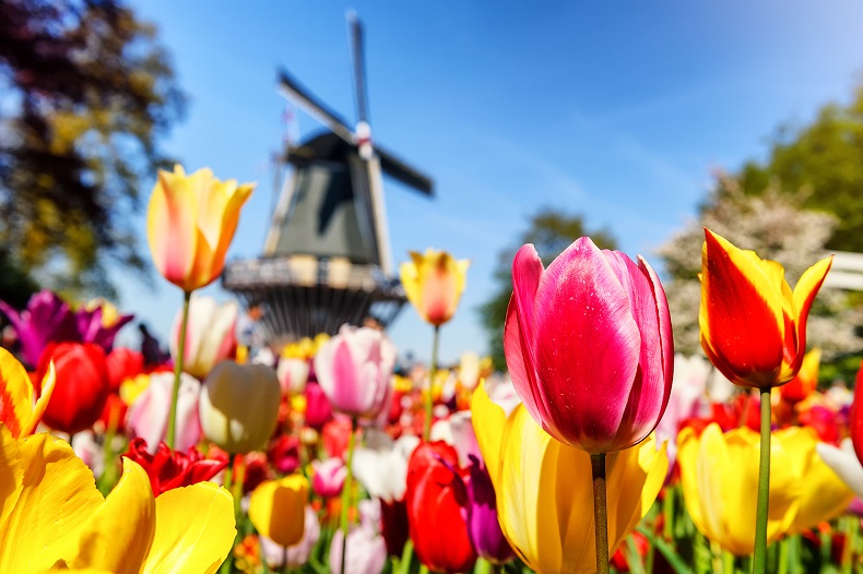 Keukenhof